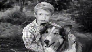 Lassie | Lassie's Decision | Full Episodes | Old Cartoons | Videos For Kids  