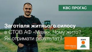 Заготівля житнього силосу в СТОВ АФ «Маяк». Чому жито? Як зібрати достойний результат? | КВС-УКРАЇНА