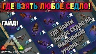 ARK SURVIVAL EVOLVED MOBILE | ГДЕ НАЙТИ ЛЮБОЕ СЕДЛО!! КАК ПОЛУЧИТЬ ЛЮБОЕ СЕДЛО В Ark mobile