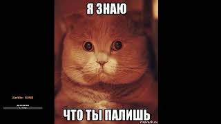 ЗАЧЕМ? ПО ФАНУ.