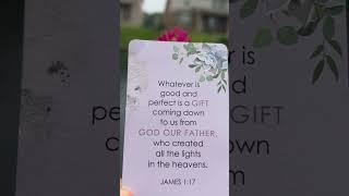 Morning delight. June 1,2024. Hallelujah. We  JESUS. Team JESUS #short