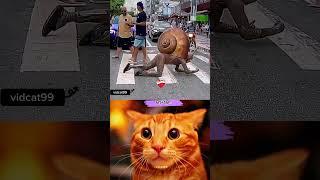 BIG SNAIL #cat #bombastic #popular #shorts