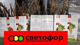 ОТЛИЧНЫЕ НОВОСТИВ СВЕТОФОРпривезли много НОВИНОК