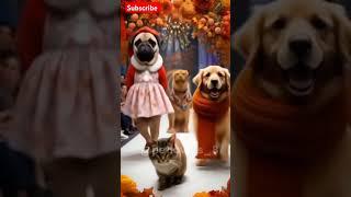 Pet lovers #cute #petlovers #trending #cat #pet #animals #youtubeshorts #shorts