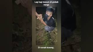 di grebek warga #shorts #mesum #grebek #warga