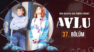 Avlu 37. Bölüm