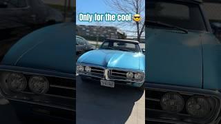 Paradise on Earth is HERE at Muscle Car Concepts