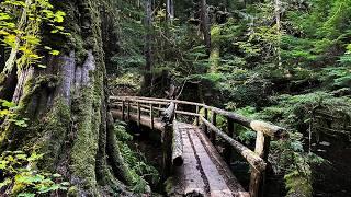 Tamolitch Falls / Blue Pool Trail - Oregon