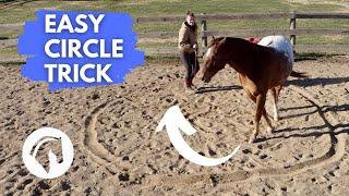 Liberty Trick Training: Teach Your Horse To Circle