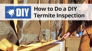 How to Do A Termite Inspection