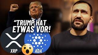 TRUMP bringt XRP & ADA zur Explosion?