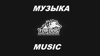 КРУТАЯ МУЗЫКА TOP DOG #3 ВАЛЕРА ЗАБОТИН УРАГАН ТИМУР ЗОЛОТОЙ ЛОБАН ПАМИРСКИЙ МОТИВАТОР ЛУСАН ТОП ДОГ