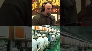 joe exposes Apple Factories in China