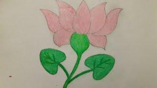 How to draw a lotus||Indian national flower ||sanjay singh