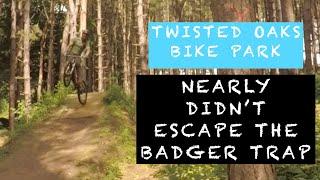 Twisted Oaks - Badger Trap save!