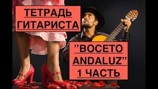 ТЕТРАДЬ ГИТАРИСТА  «Boceto Andaluz »  Разбор 1 Часть