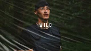 "WILD" | FREEZE CORLEONE TYPE BEAT