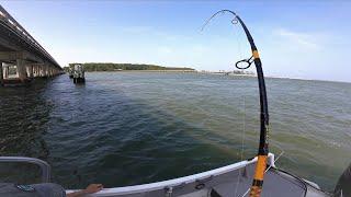 You Never Know What You're Going to Catch in Beaufort SC!