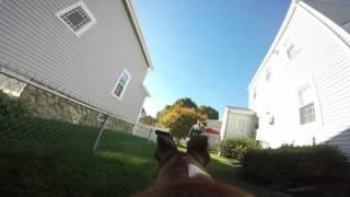 Sully Vision 1.0