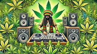 Top Reggae Dub Songs of 2024 | The Best Vibes & Basslines to Lift Your Spirit | Reggae Dub Mix 