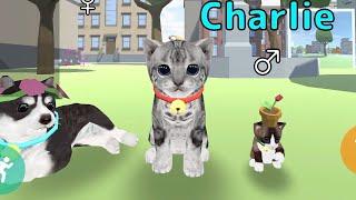 Cat Simulator Online demo 2