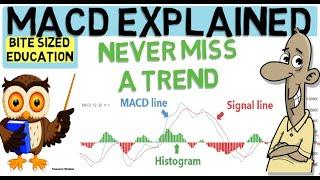 MACD INDICATOR EXPLAINED (Trade with the trend)