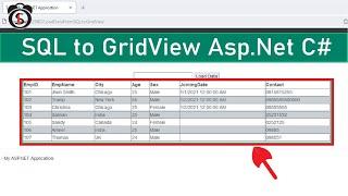 How to Show Data in GridView in Asp.Net using C# #aspnet