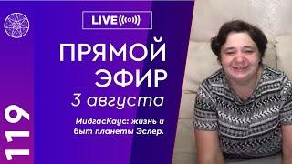 #119 Прямой эфир с Ириной Подзоровой. МидгасКаус: жизнь и быт планеты Эслер.