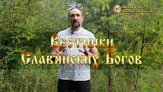 Вестники Славянских Богов - дают знаки о беде, помогают сделать правильный выбор, но есть нюанс...