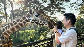 Visiting Kenya? Here’s Why the Giraffe Center in Nairobi is UNMISSABLE! | Must Do in Nairobi