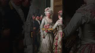 Marie Antoinette's Fashion Crisis at the Border. Smuggling her PUG #history #fashion #pug