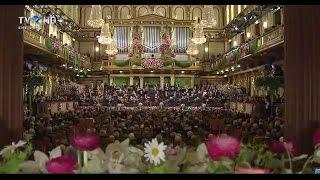 Vienna Philharmonic Orchestra - Dunărea Albastră (Johann Strauss-fiul)