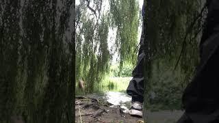 #angling #fishing #anglingtimes #anglingtrust #fish # #riverstour perch