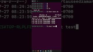 Check files status with stat Command   // Master Linux #75 #shorts #linux