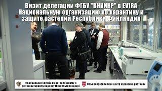 Визит делегации ФГБУ "ВНИИКР" в EVIRA Республики Финляндия