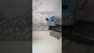 only stitch fidgets! #fidgets #asmr #fidgettoys #mysteryscoop #disney #stitch #toys
