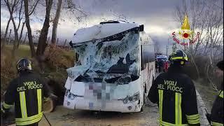 Pianta su scuolabus - VIDEO Vigili del fuoco