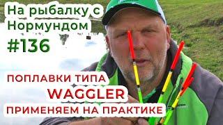 Поплавки типа WAGGLER - применяем на практике! / На рыбалку с Нормундом #136