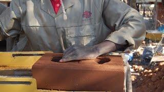 Compressed Earth Block Training   Dwell Earth   June 2015