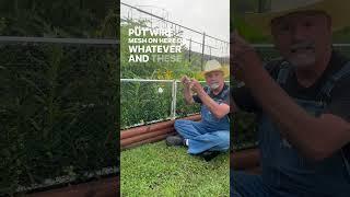 Garden Rabbit Control #gardentips #gardening #farmtotable #rabbit #garden #farmlife #homestead