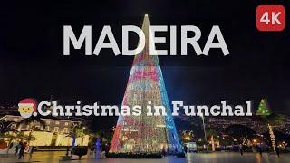  Christmas Night Walk in Funchal, Madeira: From Lido to City Center | 4K Walking Tour