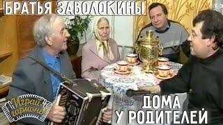 Играй, гармонь! | Братья Заволокины дома у родителей