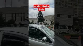 Addis Ababa Bole Area #addisababa #ethiopia #addisabeba #bole #travel #ethiopianmusic