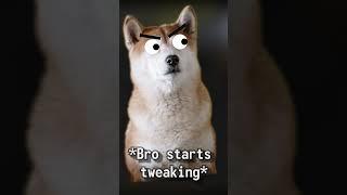Bro was seeing things