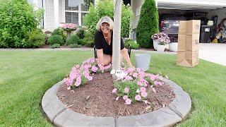 FRONT GARDEN RESET/EPSON SALT ON HYDRANGEAS? LET'S RESET THE GARDENS!