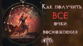 Простым языком как получить все 8 очков возвышения. Path of Exile 2