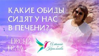 Какие обиды сидят у нас в печени. Песня тела с Алтынай Капалбаевой