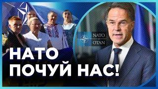 В ЭТИ МИНУТЫ! Украинцы за рубежом МАССОВО вышли на улицы и ТРЕБУЮТ предоставить приглашение в НАТО