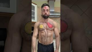How Junk Food Can Harm Your Heart – The Cholesterol Effect #short #shorts #youtuber #fitness