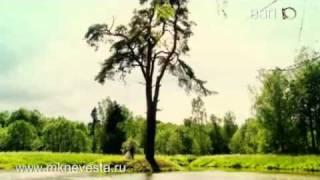 Черно-белая свадьба